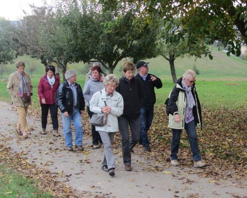 Jetzt online zur Wanderung zum Wein anmelden!